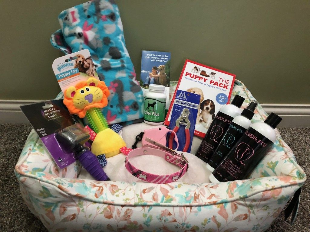 Parade Teal Animal Surprise Box